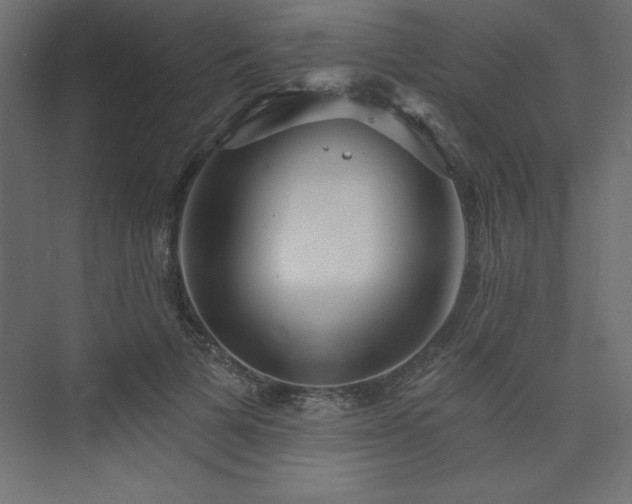 X0000073990697200608211348