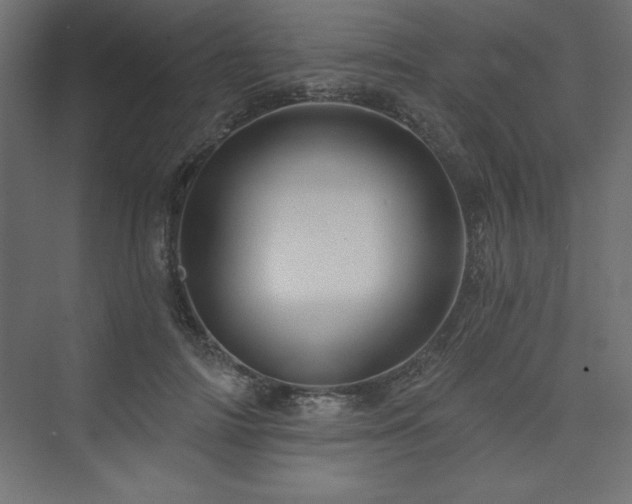 X0000073990698200608211348