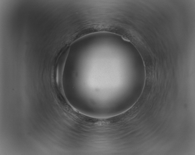 X0000073990700200608211348