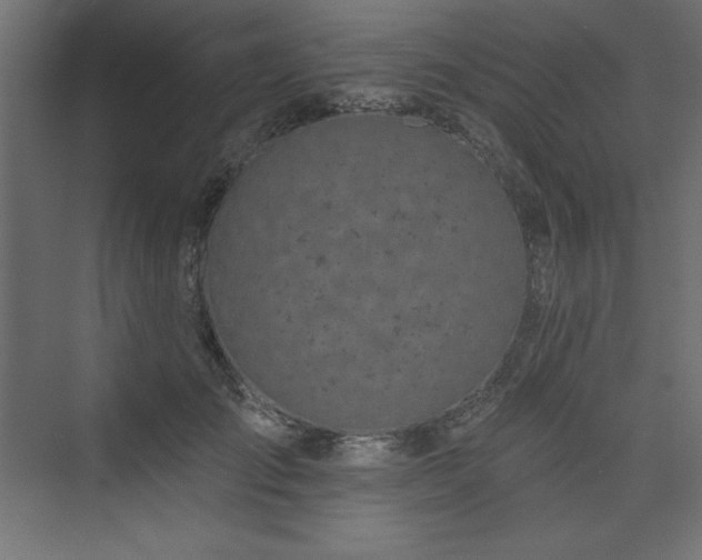 X0000073990701200608211348