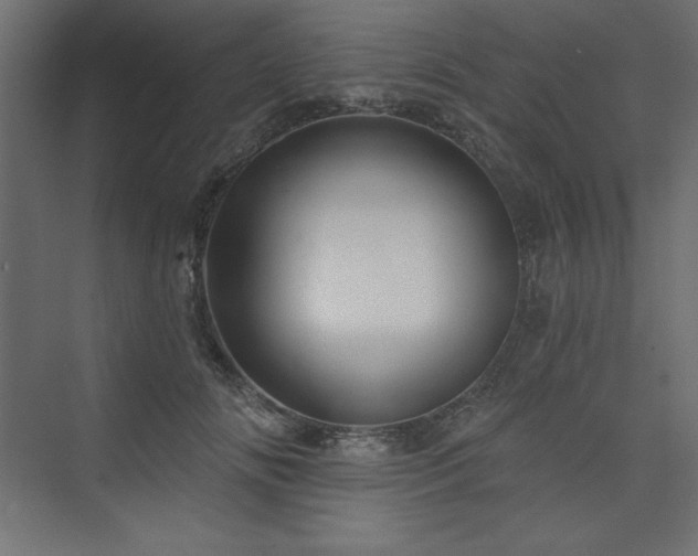 X0000073990702200608211348