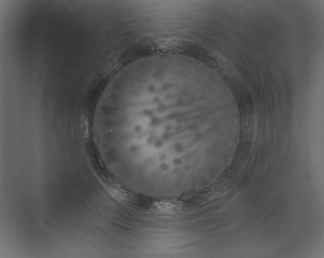 X0000073990703200608211348