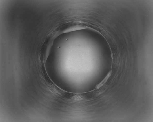 X0000073990704200608211348