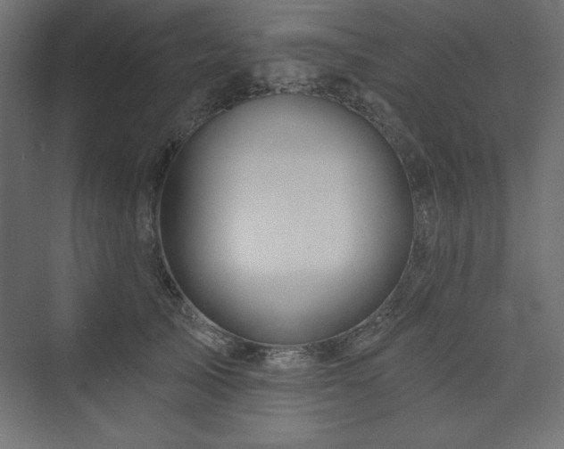 X0000073990705200608211348