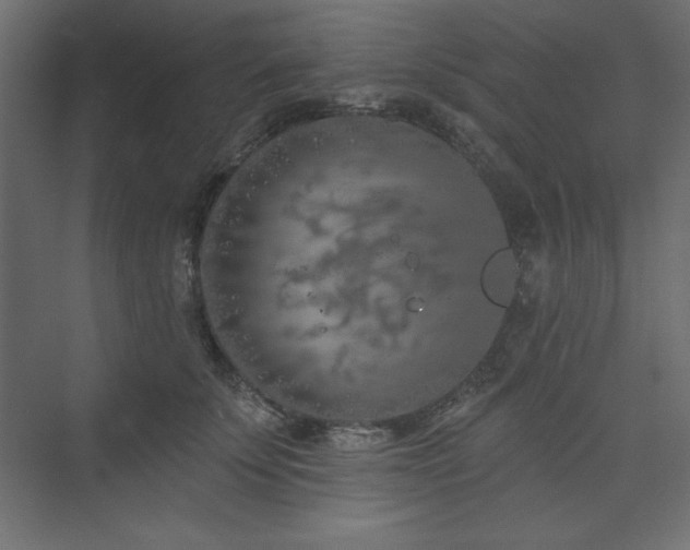 X0000073990707200608211348