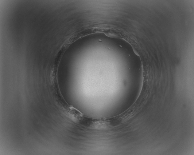 X0000073990708200608211348