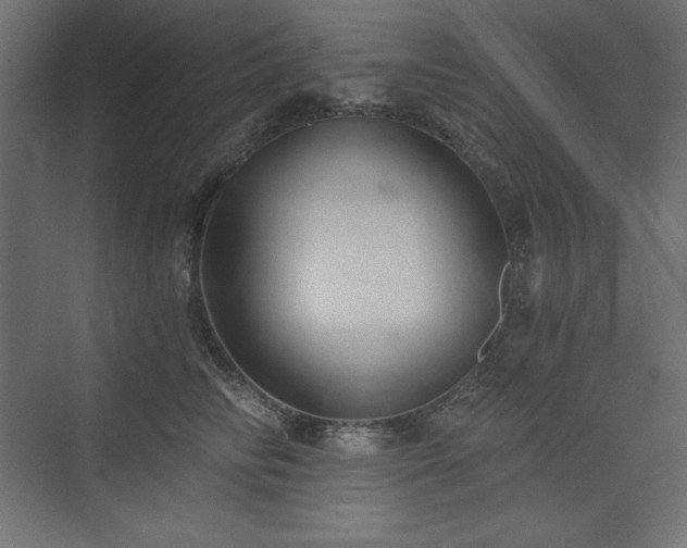 X0000073990710200608211348