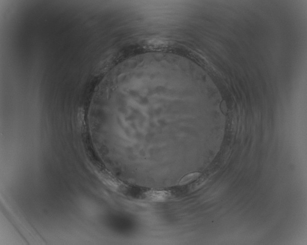 X0000073990711200608211348