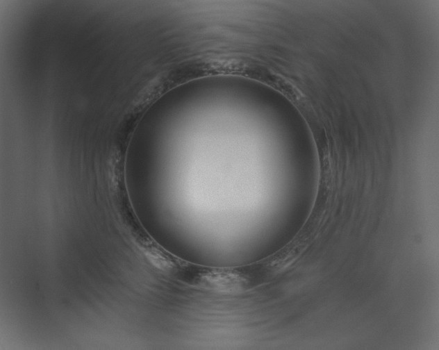 X0000073990712200608211348