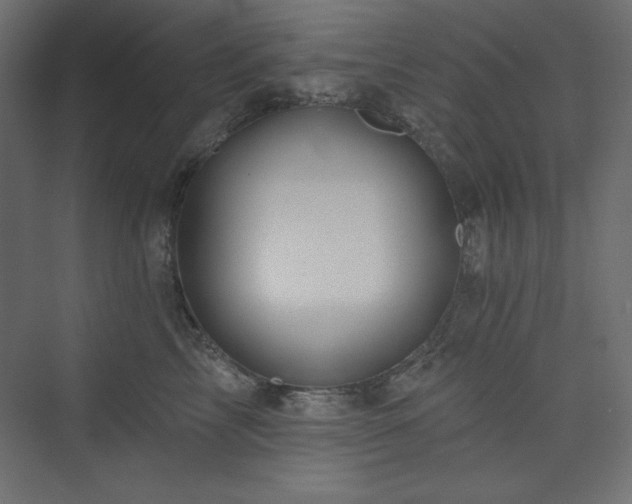 X0000073990713200608211348