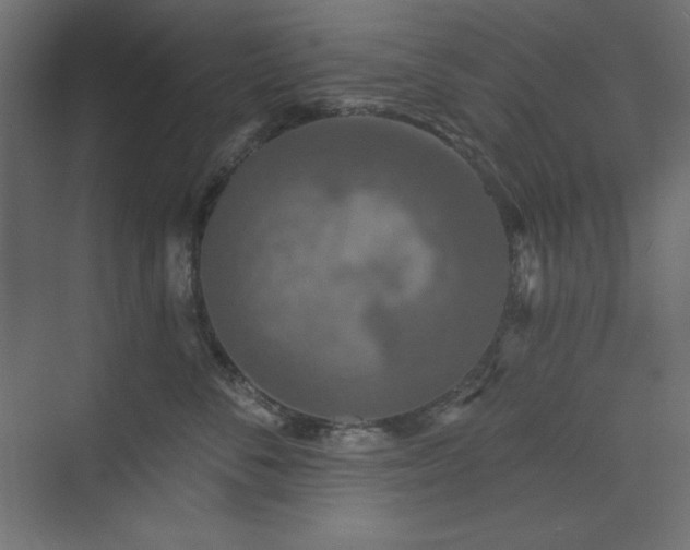 X0000073990716200608211348