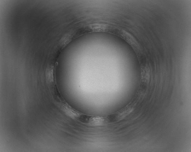 X0000073990717200608211348