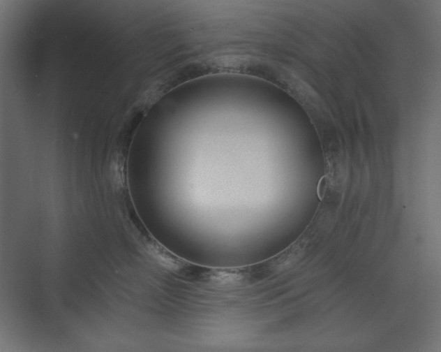 X0000073990718200608211348