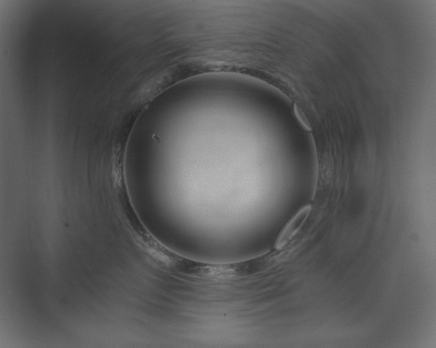 X0000073990719200608211348