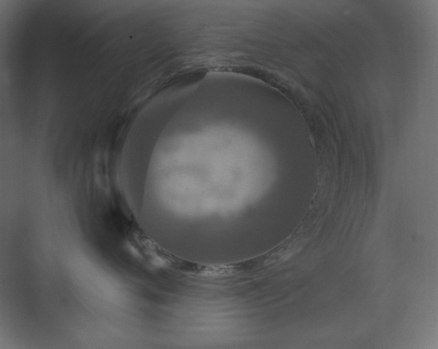 X0000073990720200608211348