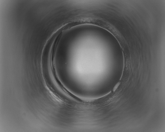 X0000073990722200608211347