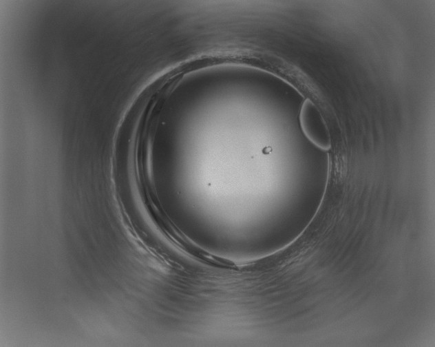 X0000073990724200608211347