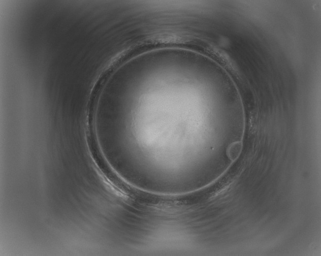 X0000073990725200608211347