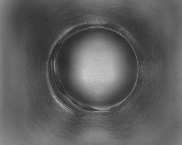 X0000073990726200608211347