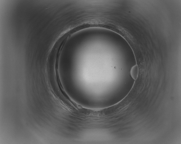 X0000073990727200608211347