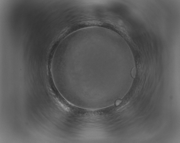 X0000073990729200608211347