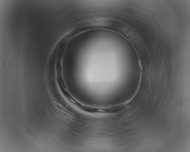 X0000073990731200608211347