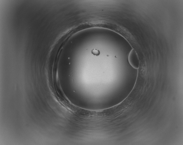 X0000073990732200608211347