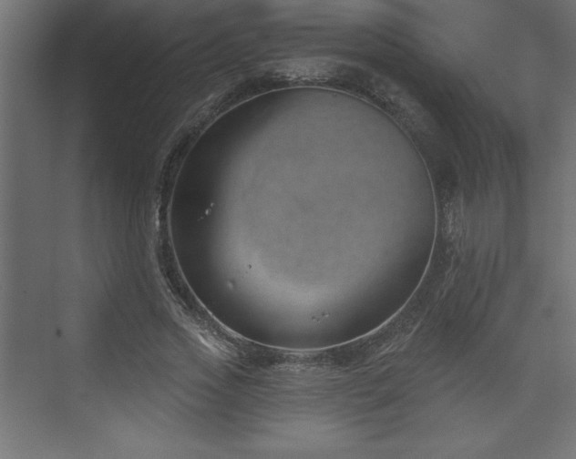 X0000073990733200608211347