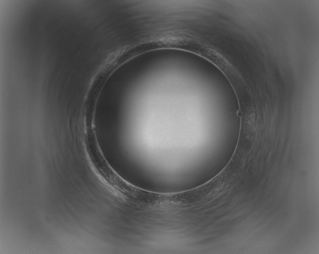 X0000073990734200608211347