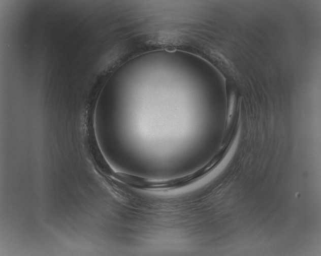 X0000073990735200608211347