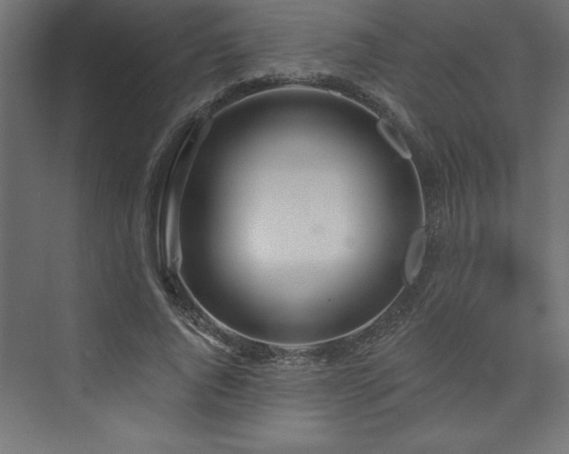 X0000073990736200608211347