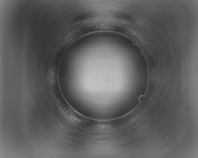 X0000073990741200608211347