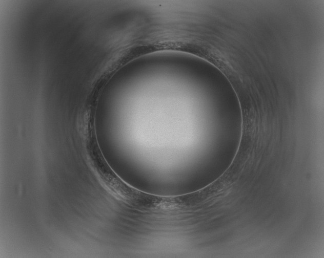 X0000073990742200608211347