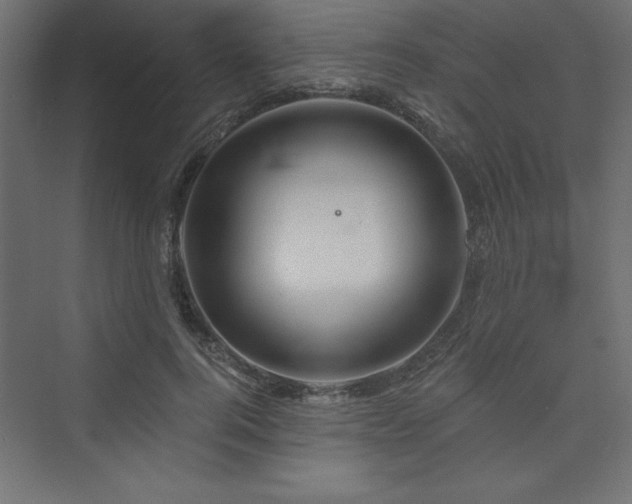 X0000073990744200608211347