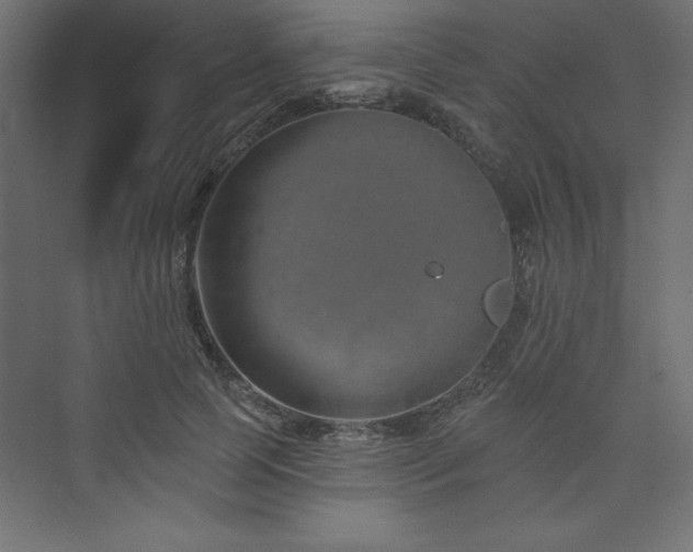 X0000073990745200608211347