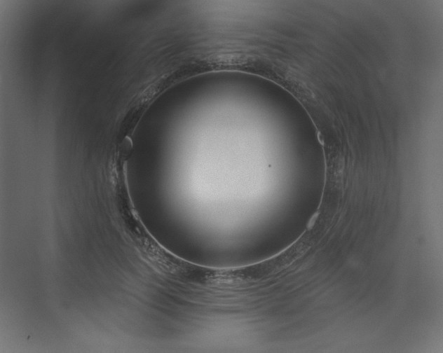 X0000073990746200608211347