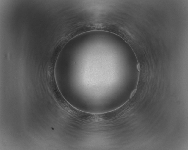 X0000073990747200608211347