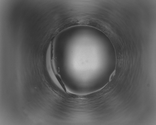 X0000073990748200608211347