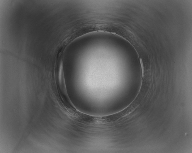 X0000073990750200608211347