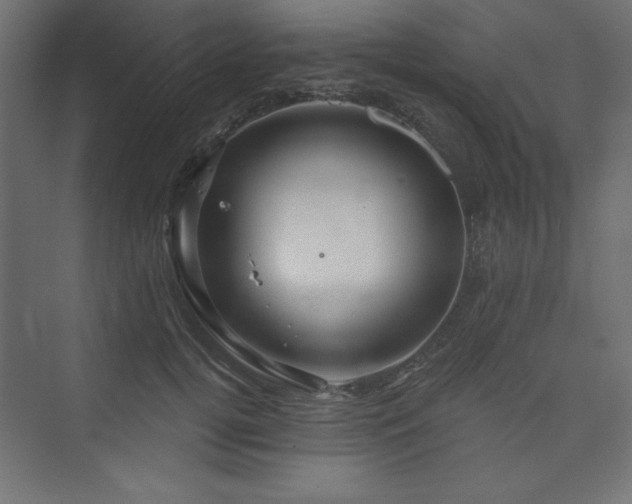 X0000073990752200608211347