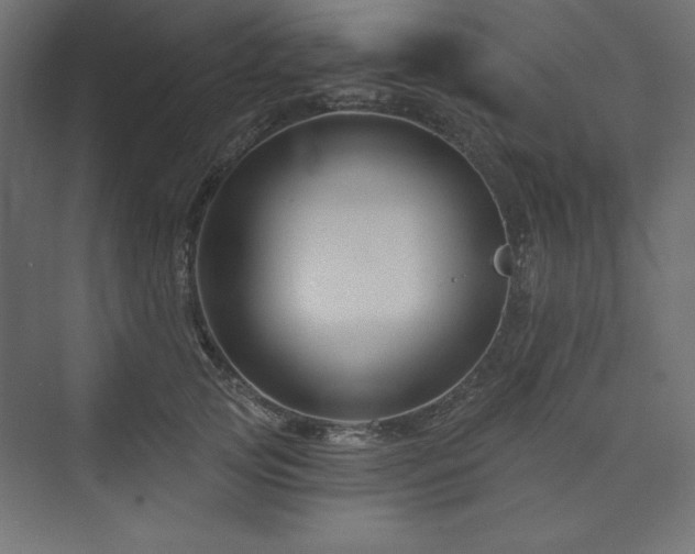 X0000073990753200608211347