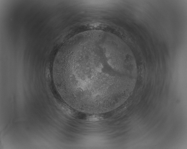 X0000073990754200608211347