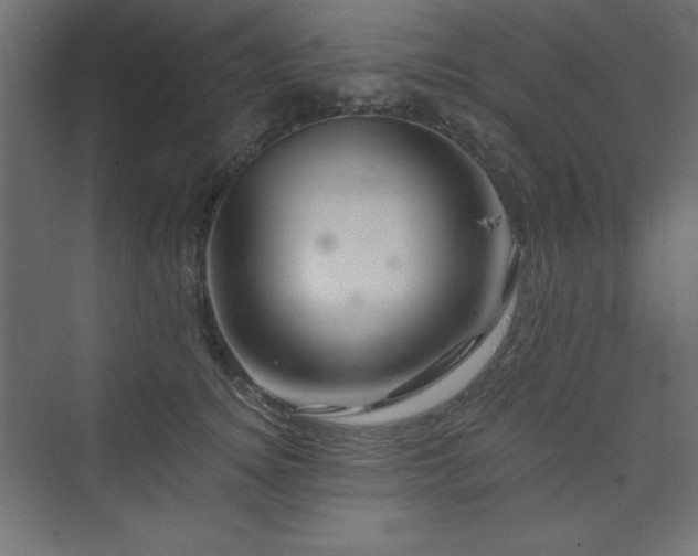 X0000073990756200608211348