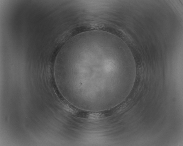 X0000073990757200608211348