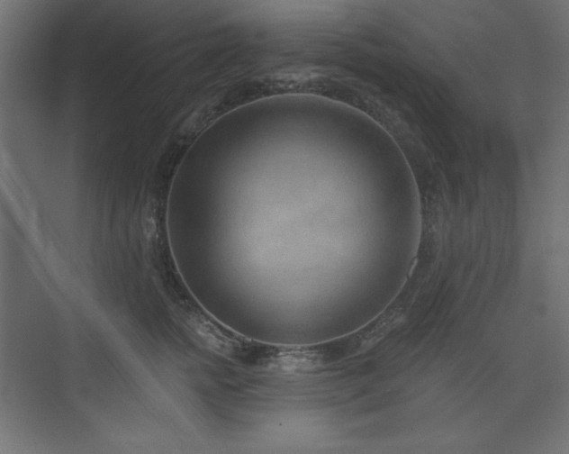 X0000073990758200608211348