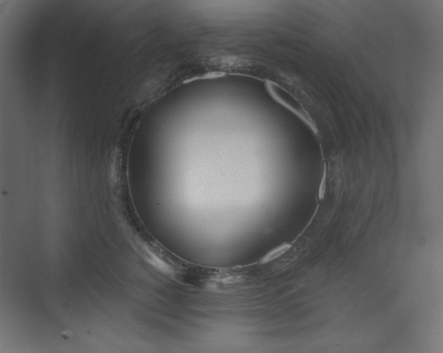 X0000073990760200608211348