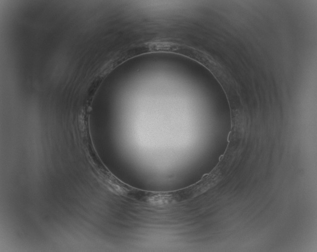 X0000073990761200608211348