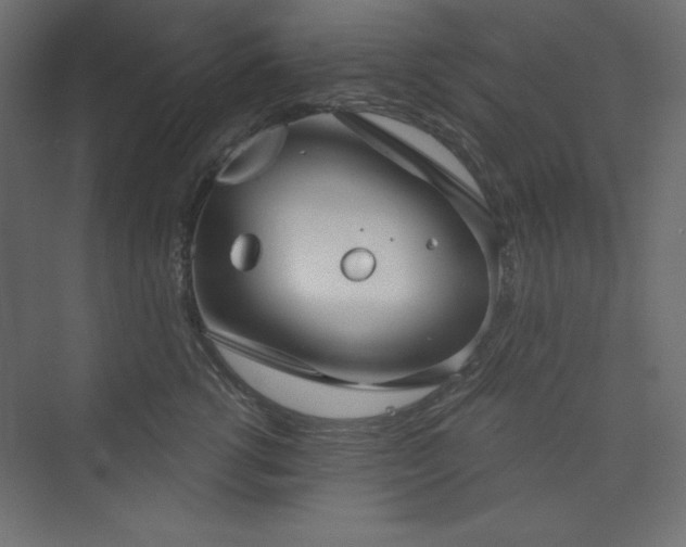 X0000073990762200608211348