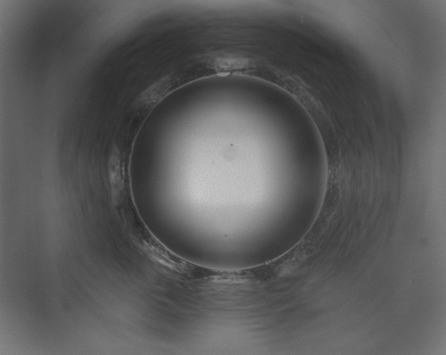 X0000073990763200608211348