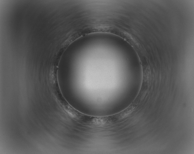 X0000073990764200608211348